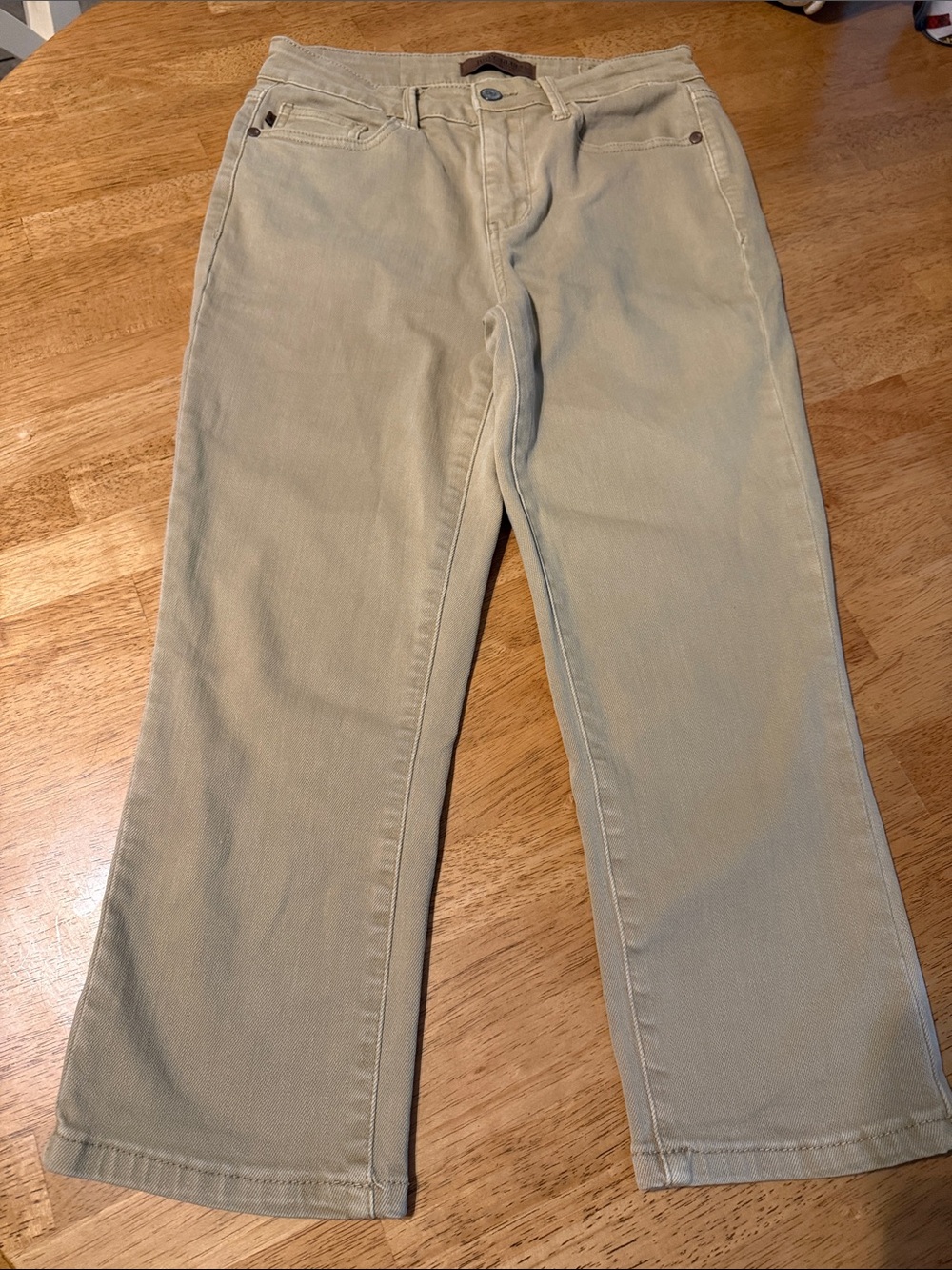 Judy Blue Light Beige Straight-Leg Jeans